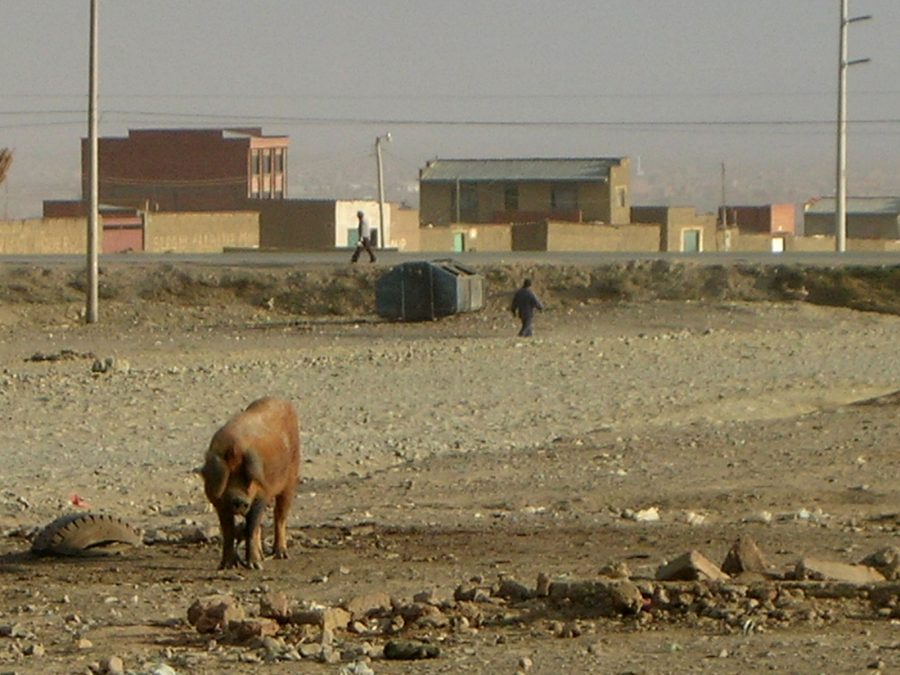 TV_guerre-de-l-eau-02